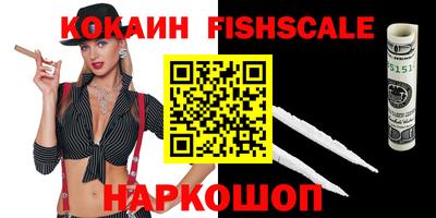 крисы Камышлов