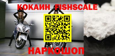крисы Камышлов