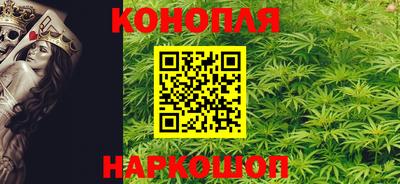 крисы Камышлов