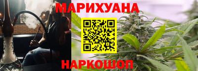 крисы Камышлов