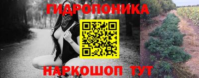 крисы Камышлов