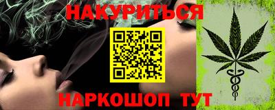 крисы Камышлов