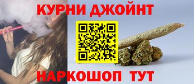 крисы Камышлов
