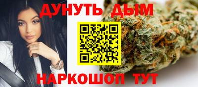 крисы Камышлов