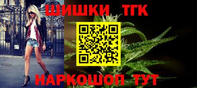 крисы Камышлов