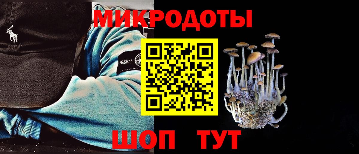 Галлюциногенные грибы Psilocybine cubensis Котлас